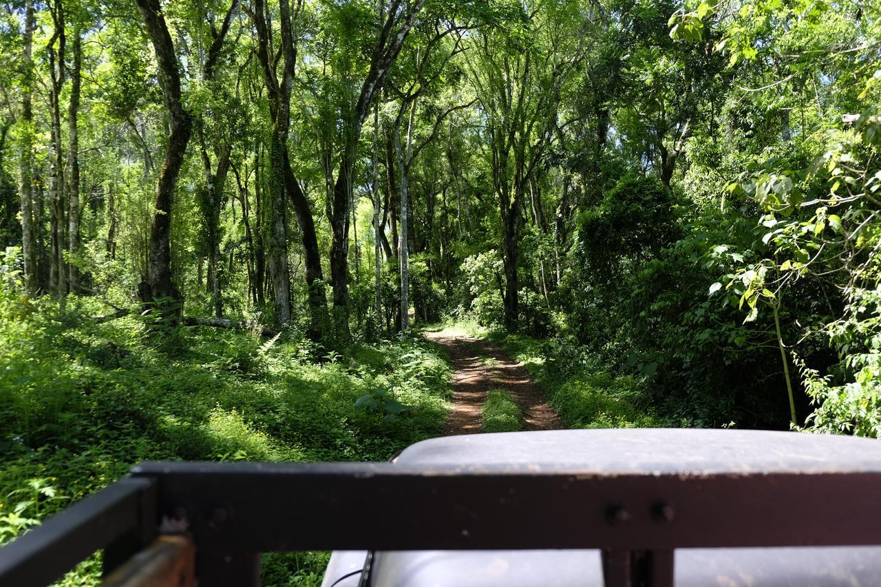 La Mision Mocona - Lodge De Selva Сальтос-дель-Мокона Екстер'єр фото